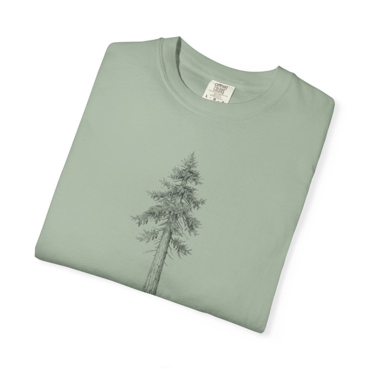 Douglas Fir T-Shirt - Pseudotsuga menziesii Botanical Illustration