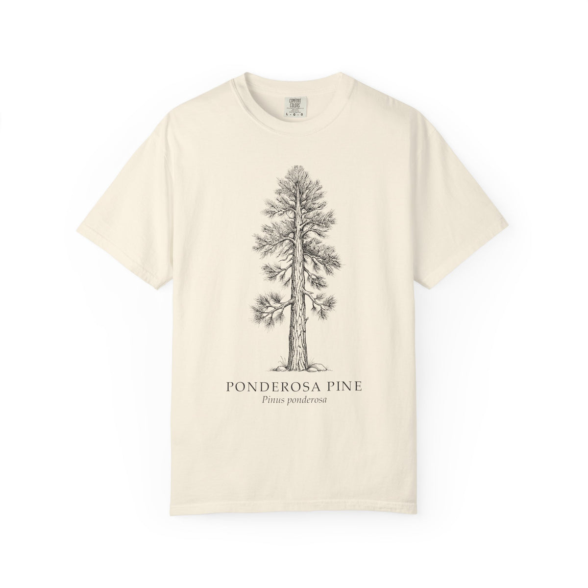 Ponderosa Pine T-Shirt - Pinus ponderosa Botanical Illustration