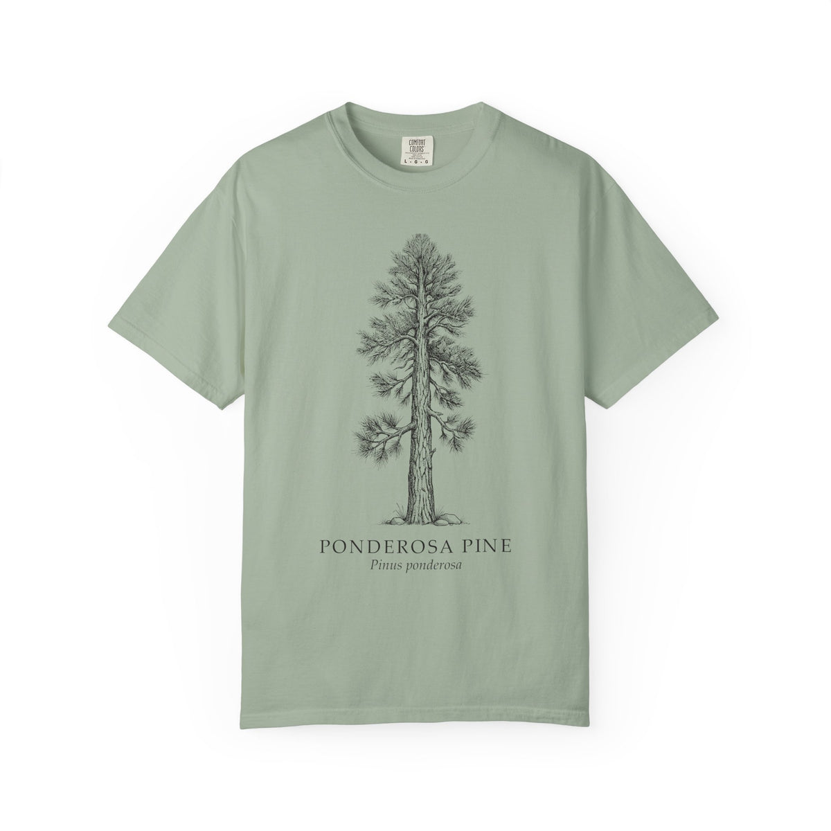 Ponderosa Pine T-Shirt - Pinus ponderosa Botanical Illustration