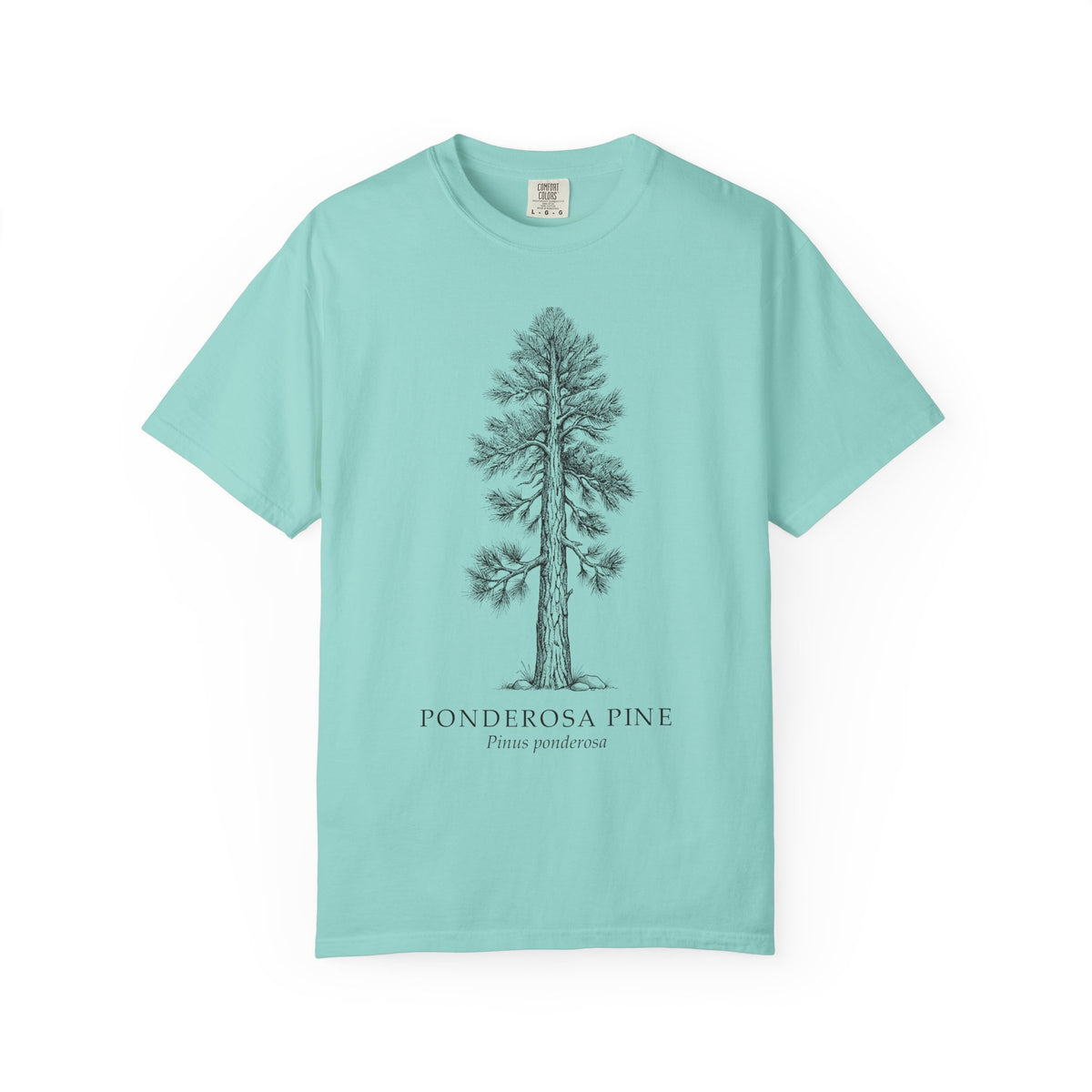 Ponderosa Pine T-Shirt - Pinus ponderosa Botanical Illustration