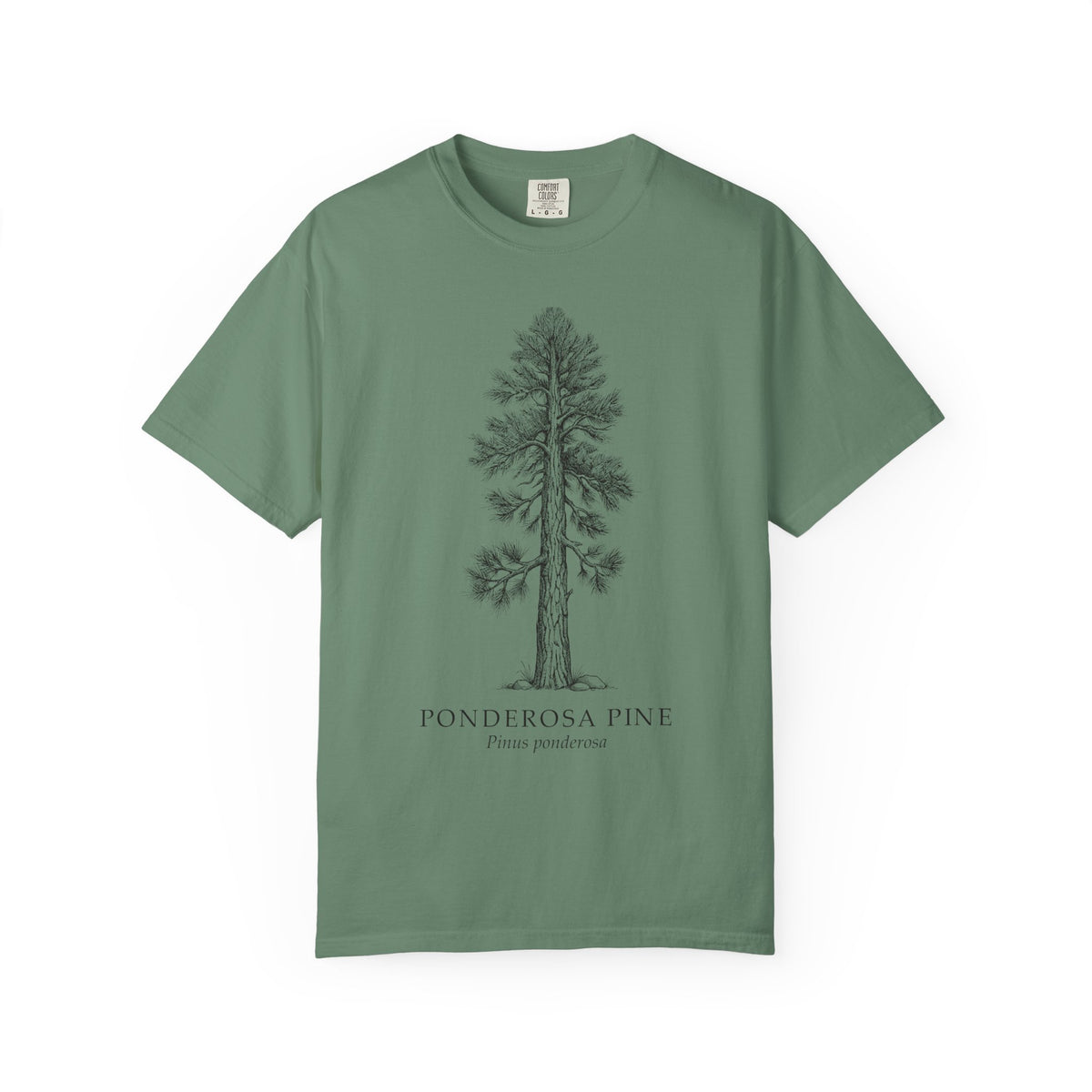 Ponderosa Pine T-Shirt - Pinus ponderosa Botanical Illustration