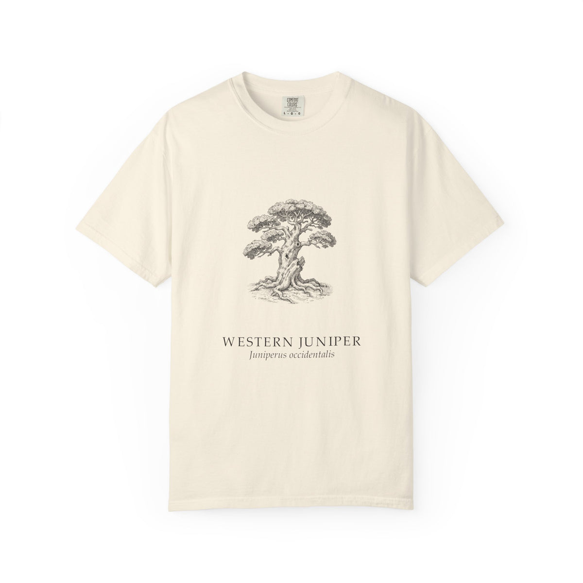 Western Juniper T-Shirt - Juniperus occidentalis Botanical Illustration